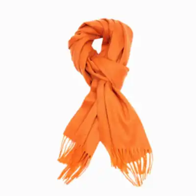 Begg & Co Arran Cashmere Scarf in Copper