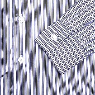 Bergfabel Farmer Shirt in Blue Stripe