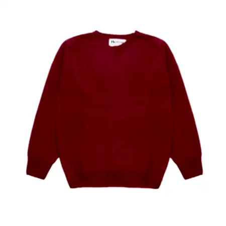 Harley Women's Lambswool Jumper in Cordelia