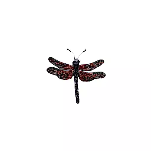 Dragonfly brooch
