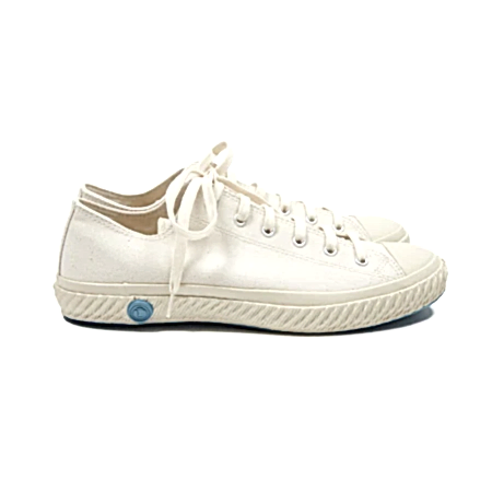 Shoes like Pottery Canvas Trainers in White